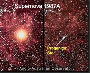 Comparison of SN 1987A, after on the left and the progenitor star on the right.