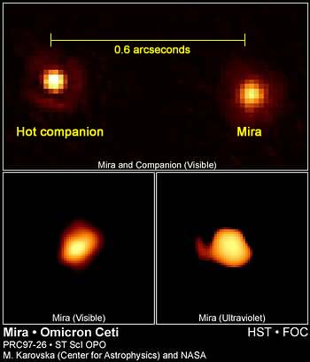HST image of Mira and its binary companion.