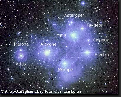 The Pleaides, a young open cluster.
