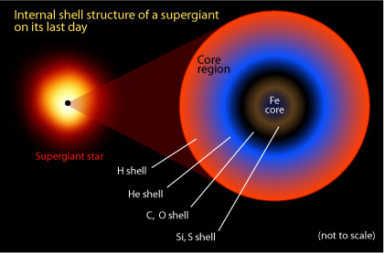 The onion layer-like internal structure of a supergiant star at the end of its life.