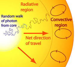 A random walk of a photon from the core of a star.