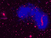 the peculiar galaxy system IC 2554