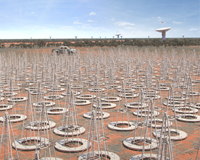 Artist's impression of the SKA1-LOW dipole antennas in the foreground of ASKAP antennas at the MRO. Credit: SKA Organisation.