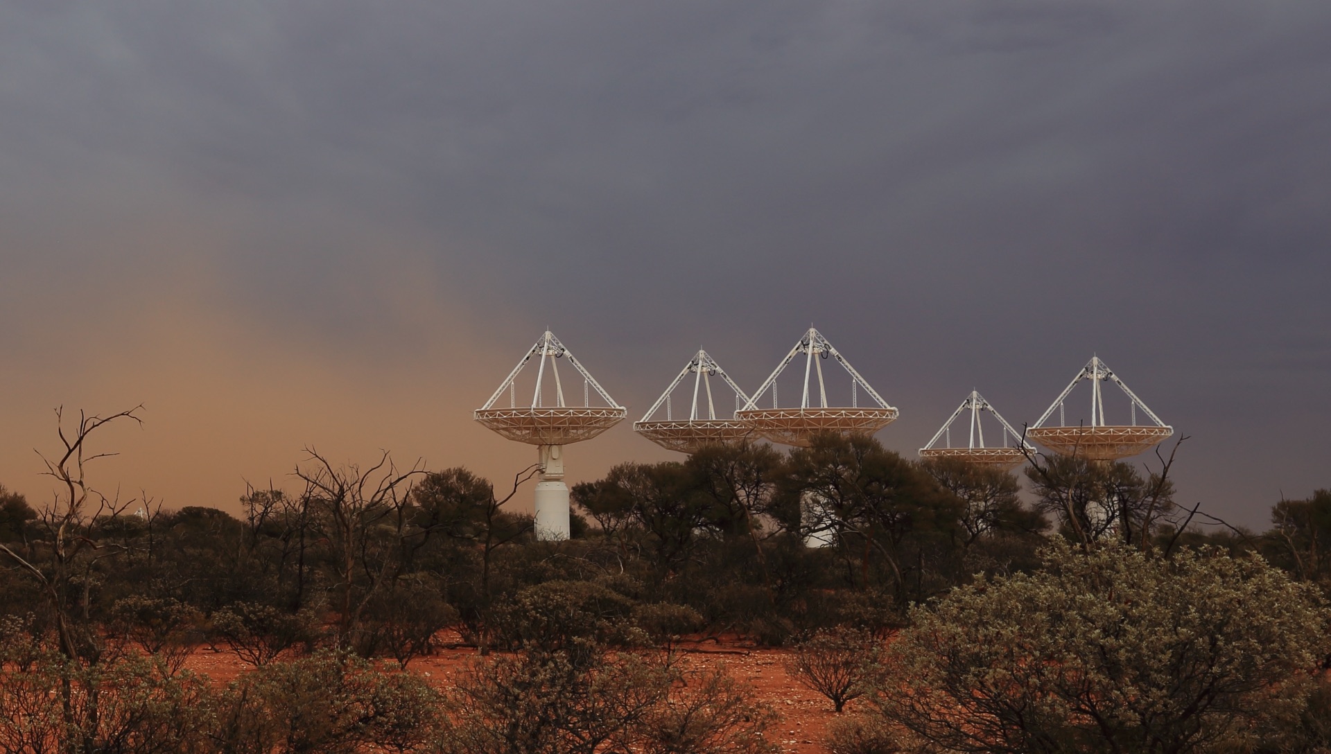 An image of five ASKAP antennas with dark skies in the background