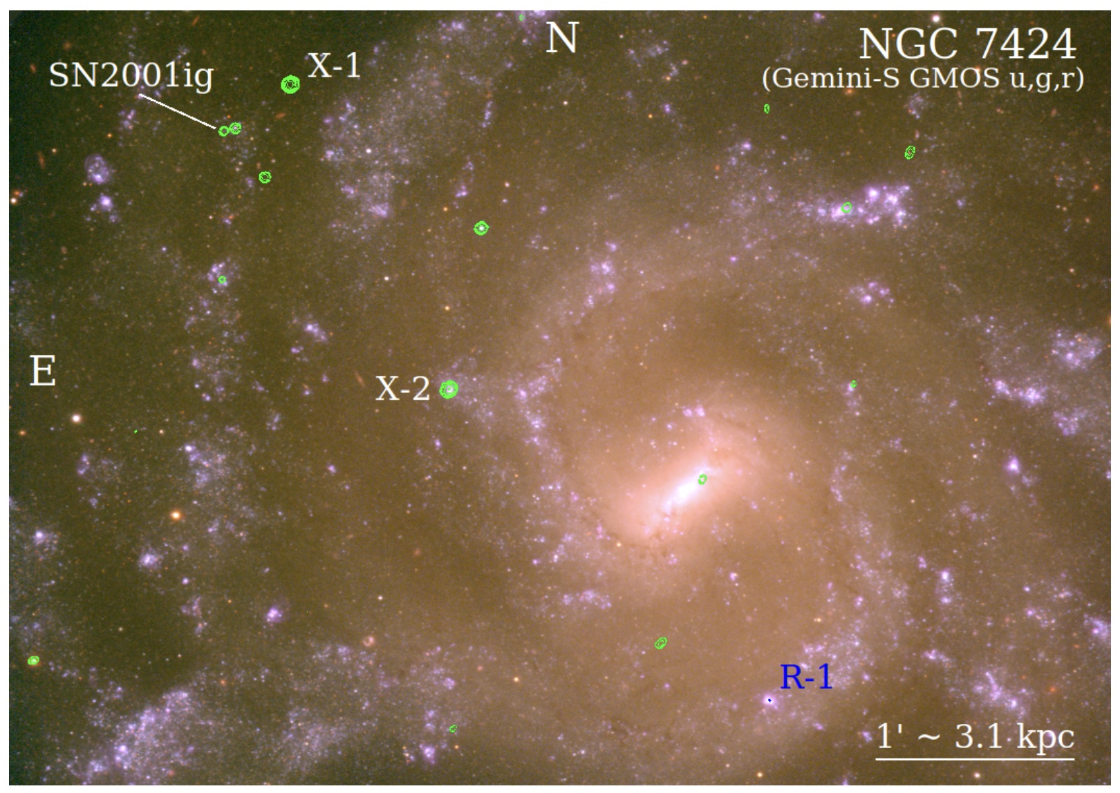 An optical image of the nearby galaxy NGC 7424 with the brightest X-ray sources overplotted in green and the location of a strong, persistent radio source (R-1) also labelled.