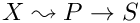 $X\leadsto P\rightarrow S$