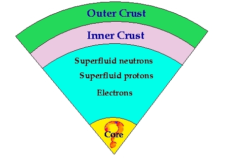 The interior structure of a neutron star