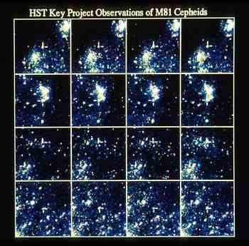 HST images of Cepheids in M 81.