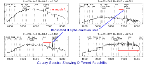 Galaxy spectra from 2dF Galaxy Redshift Survey