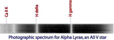 Photographic spectra of Alpha Lyrae