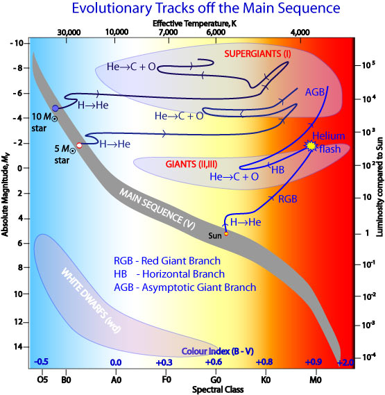 Post-main sequence evolutionary tracks for 1, 5 and 10 solar mass stars.