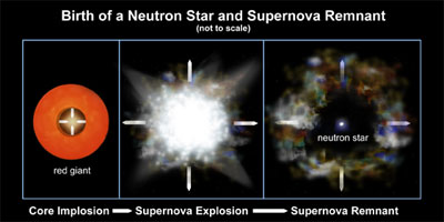 Birth of a neutron star and suoernova remnant.