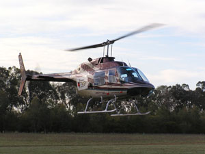 A helicopter hovers just above the ground. The helicopter has black and white stripes that sweep from the nose up to the tail. There are trees in the background.