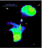 the giant radio galaxy J0116-473