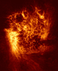 large magellanic cloud in neutral hydrogen