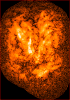 heart of the vela supernova remnant