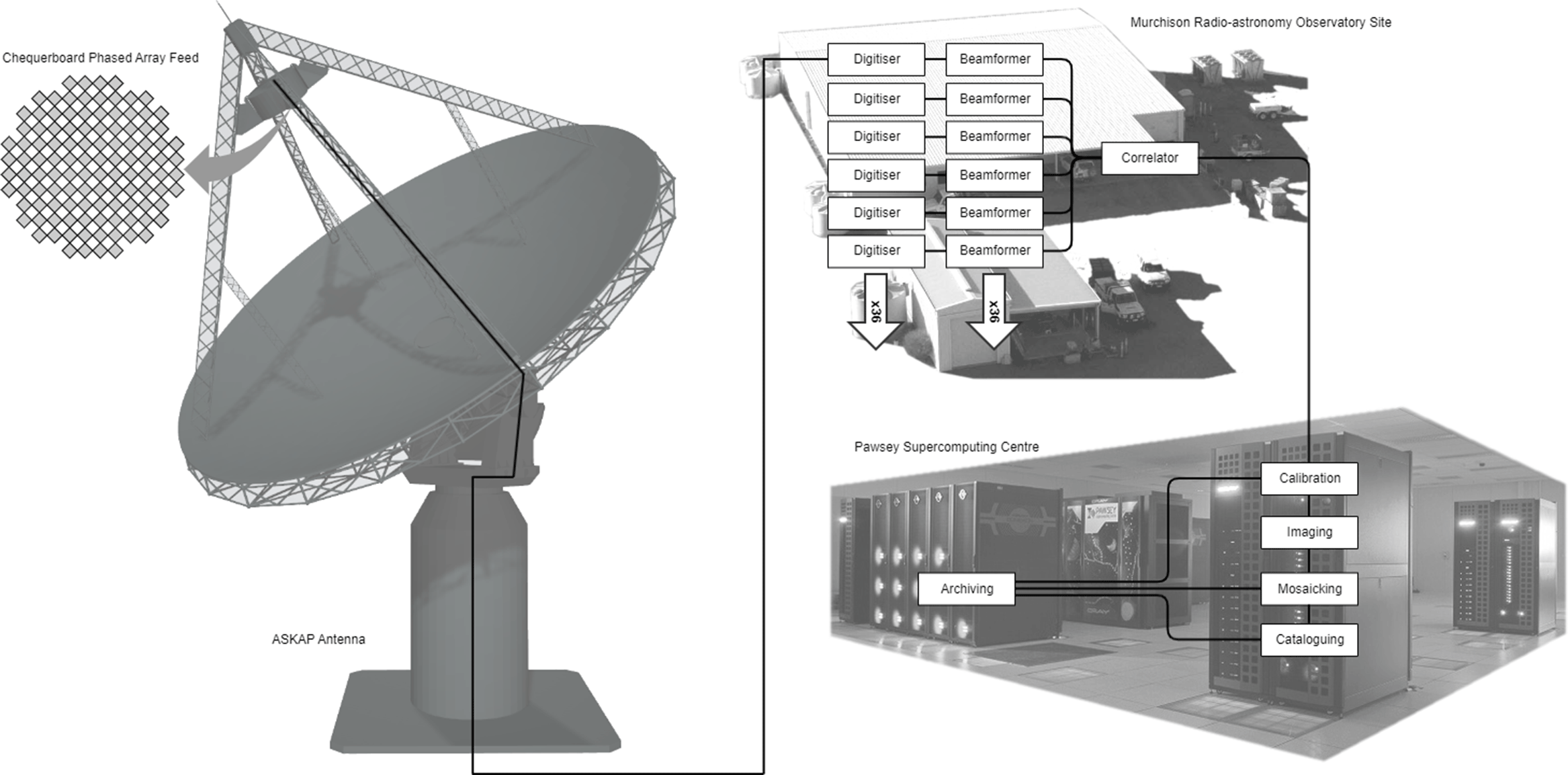 Diagram showing the flow of data through ASKAP: PAF receives information which is sent to the digitisers, beamformers and correlators at the MRO, before being sent to the Pawsey supercomputer for final processing and archiving