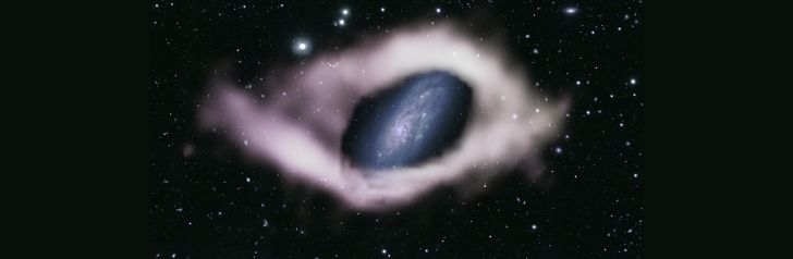 A galaxy with blue spiral arms is seen in the image center  in the midst of numerous foreground stars. This galaxy is surrounded by a white envelope of gas.