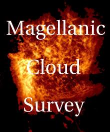 The Large Magellanic Cloud