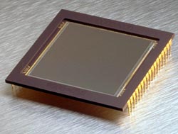 Kodak-16801E 16.8 megapixel CCD.