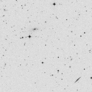 Digitised SuperCOSMOS image of a section of a plate from taken on the UK Schmidt Telescope Southern Sky Survey