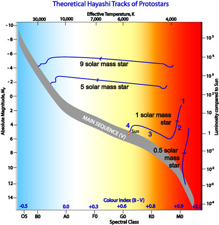 Theoretical Hayashi Tracks of different mass stars across the H-R diagram.