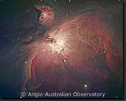 M42, the Great Nebula in Orion.